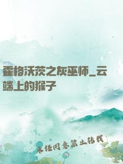 霍格沃茨之灰巫师