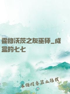 霍格沃茨之灰巫师