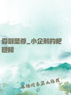 霸剑圣尊