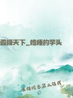 霸极天下