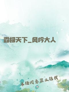 霸极天下