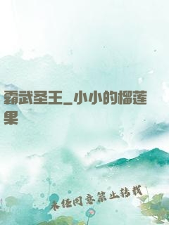 霸武圣王