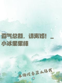霸气总裁，请离婚！