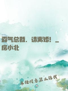 霸气总裁，请离婚！