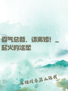 霸气总裁，请离婚！