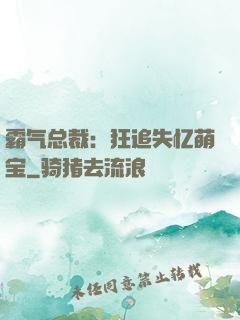 霸气总裁：狂追失忆萌宝