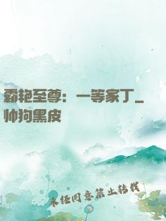 霸艳至尊：一等家丁