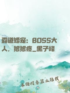 霸道婚宠：BOSS大人，狠狠疼