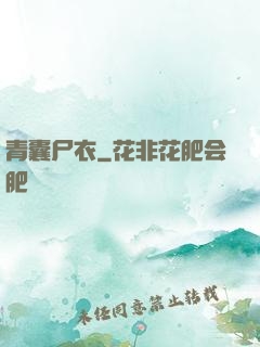 青囊尸衣