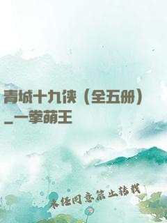 青城十九侠（全五册）