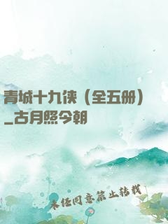 青城十九侠（全五册）