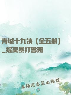 青城十九侠（全五册）