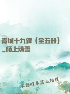 青城十九侠（全五册）