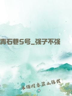 青石巷5号