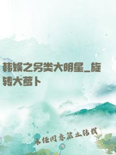 韩娱之另类大明星