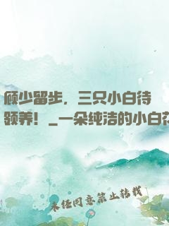 顾少留步，三只小白待领养！