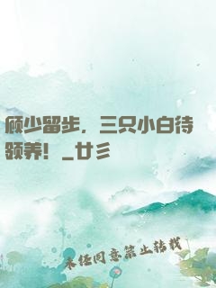 顾少留步，三只小白待领养！