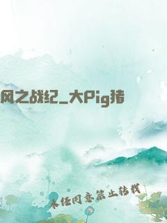 风之战纪