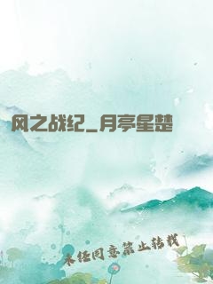 风之战纪