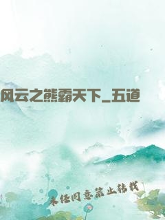 风云之熊霸天下