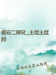 风云二师兄