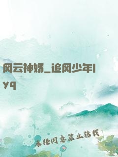 风云神婿