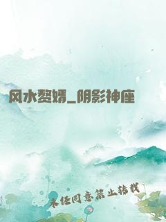风水赘婿
