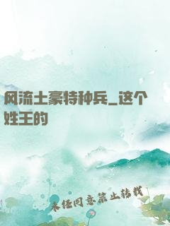 风流土豪特种兵