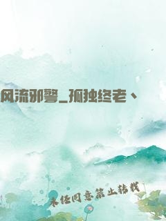 风流邪警