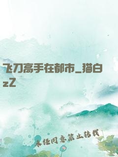 飞刀高手在都市