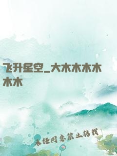 飞升星空