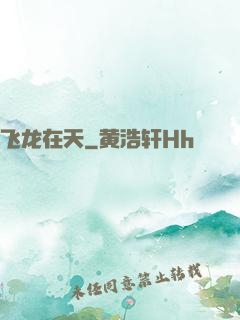飞龙在天
