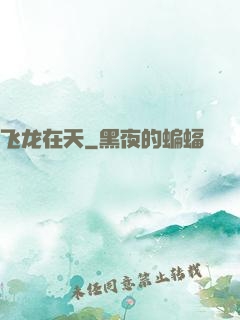 飞龙在天