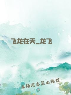 飞龙在天