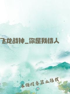 飞龙战神
