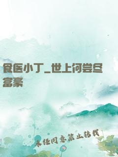 食医小丁