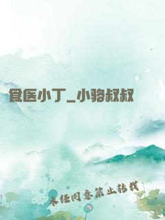 食医小丁