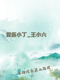 食医小丁