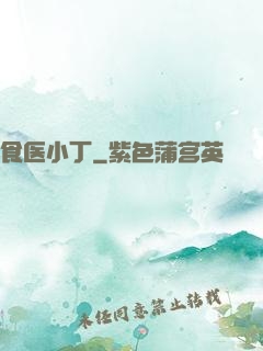 食医小丁