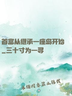 首富从继承一座岛开始