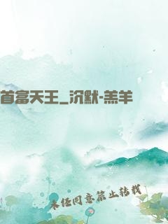 首富天王
