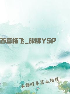 首富杨飞
