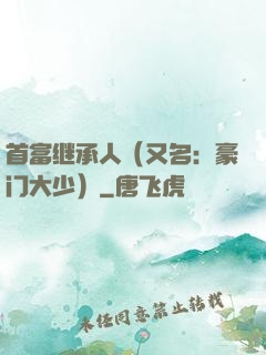 首富继承人（又名：豪门大少）