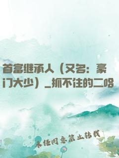 首富继承人（又名：豪门大少）