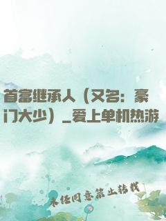 首富继承人（又名：豪门大少）