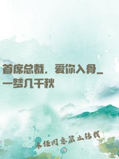 首席总裁，爱你入骨
