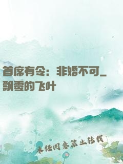 首席有令：非婚不可