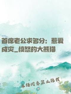 首席老公求名分：惹爱成灾