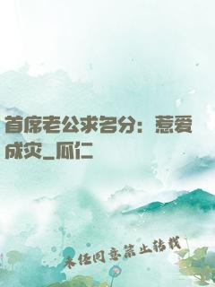 首席老公求名分：惹爱成灾