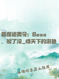首席追妻令：Boss，够了没